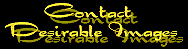 contact.gif (2378 bytes)